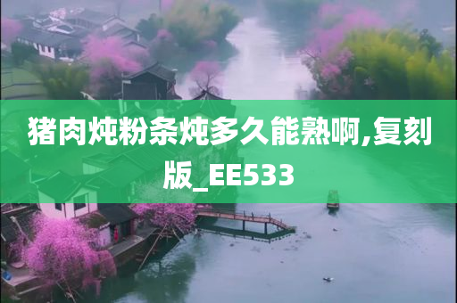 猪肉炖粉条炖多久能熟啊,复刻版_EE533