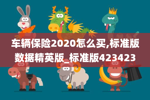 车辆保险2020怎么买,标准版数据精英版_标准版423423