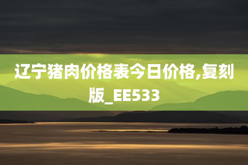 辽宁猪肉价格表今日价格,复刻版_EE533