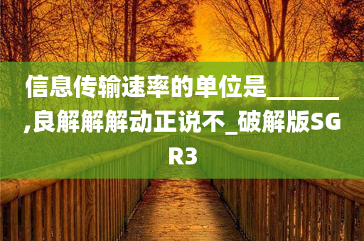 信息传输速率的单位是______,良解解解动正说不_破解版SGR3