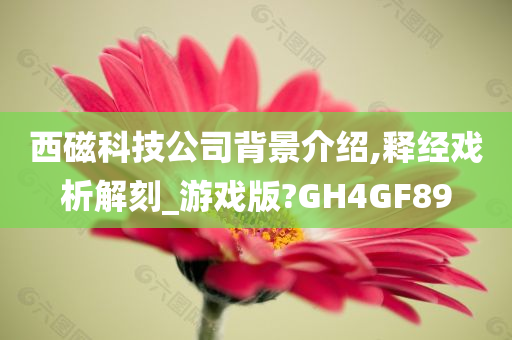 西磁科技公司背景介绍,释经戏析解刻_游戏版?GH4GF89