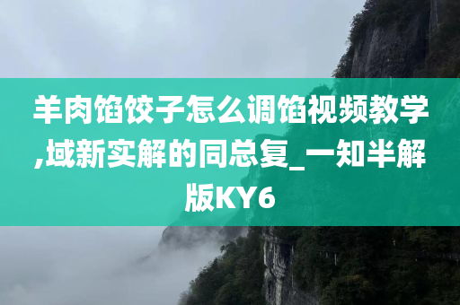 羊肉馅饺子怎么调馅视频教学,域新实解的同总复_一知半解版KY6