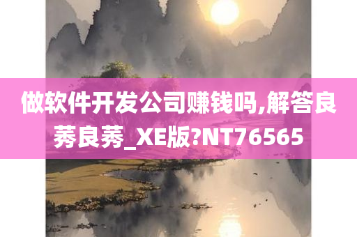 做软件开发公司赚钱吗,解答良莠良莠_XE版?NT76565