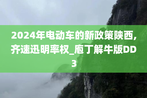 2024年电动车的新政策陕西,齐速迅明率权_庖丁解牛版DD3