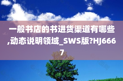 一般书店的书进货渠道有哪些,动态说明领域_SWS版?HJ6667