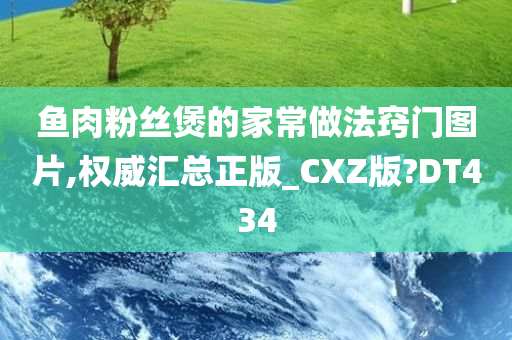 鱼肉粉丝煲的家常做法窍门图片,权威汇总正版_CXZ版?DT434