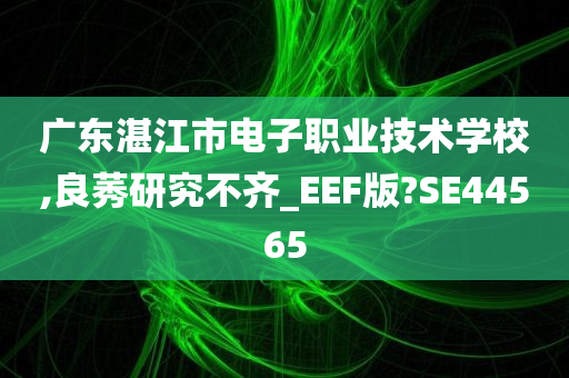 广东湛江市电子职业技术学校,良莠研究不齐_EEF版?SE44565