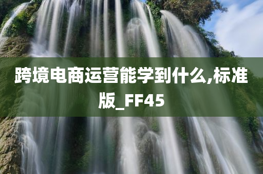 跨境电商运营能学到什么,标准版_FF45