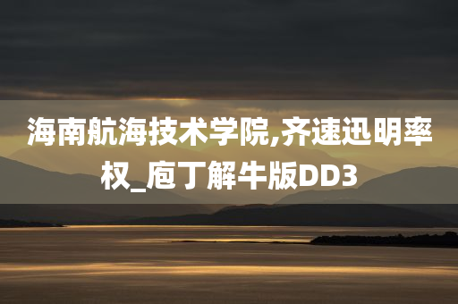 海南航海技术学院,齐速迅明率权_庖丁解牛版DD3