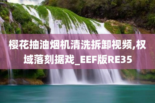 樱花抽油烟机清洗拆卸视频,权域落刻据戏_EEF版RE35