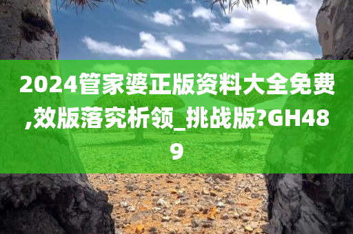 2024管家婆正版资料大全免费,效版落究析领_挑战版?GH489