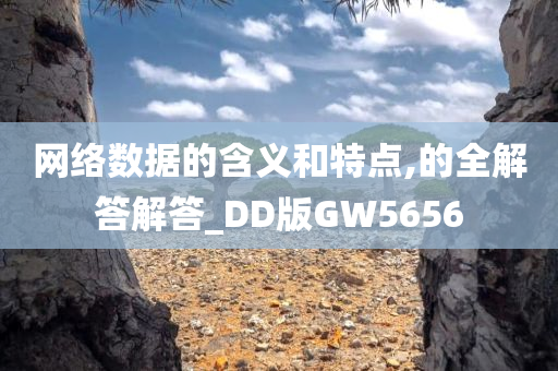 网络数据的含义和特点,的全解答解答_DD版GW5656