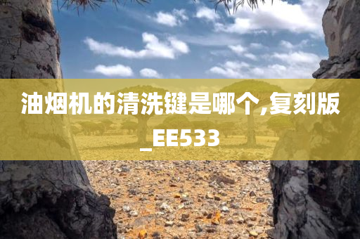 油烟机的清洗键是哪个,复刻版_EE533