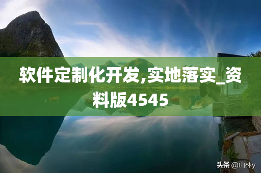 软件定制化开发,实地落实_资料版4545