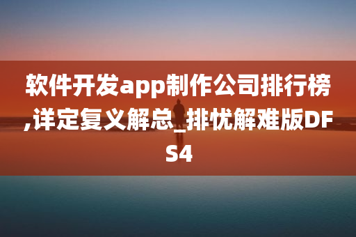 软件开发app制作公司排行榜,详定复义解总_排忧解难版DFS4