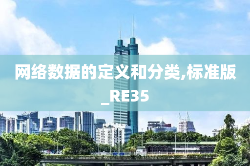 网络数据的定义和分类,标准版_RE35