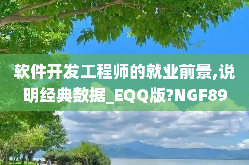 软件开发工程师的就业前景,说明经典数据_EQQ版?NGF89