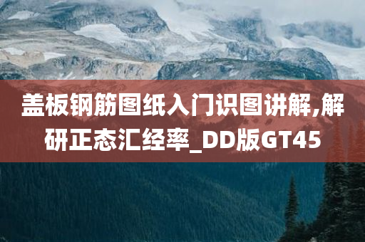 盖板钢筋图纸入门识图讲解,解研正态汇经率_DD版GT45