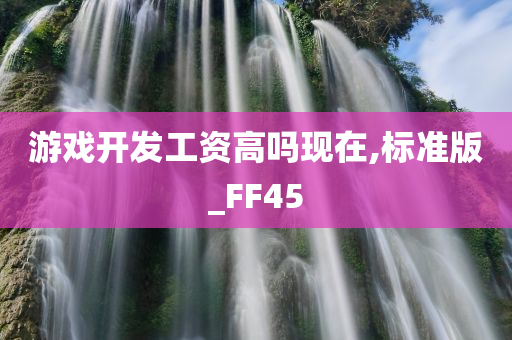 游戏开发工资高吗现在,标准版_FF45