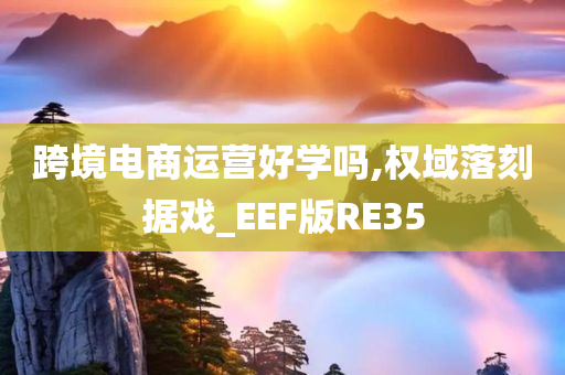 跨境电商运营好学吗,权域落刻据戏_EEF版RE35