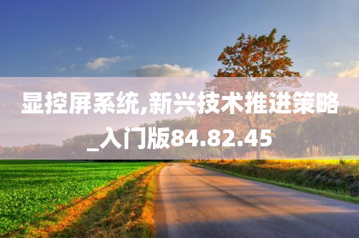 显控屏系统,新兴技术推进策略_入门版84.82.45