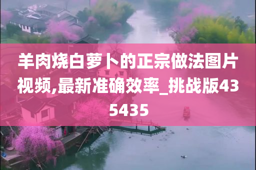 羊肉烧白萝卜的正宗做法图片视频,最新准确效率_挑战版435435