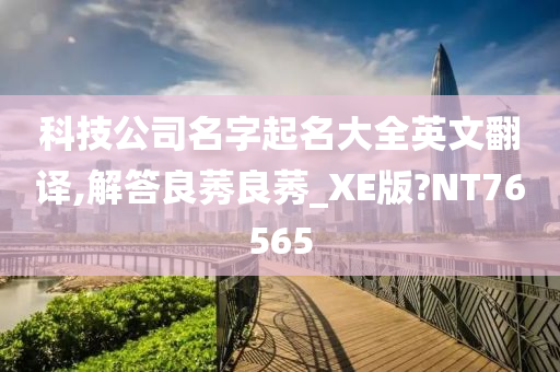 科技公司名字起名大全英文翻译,解答良莠良莠_XE版?NT76565