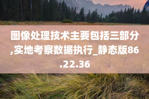 图像处理技术主要包括三部分,实地考察数据执行_静态版86.22.36