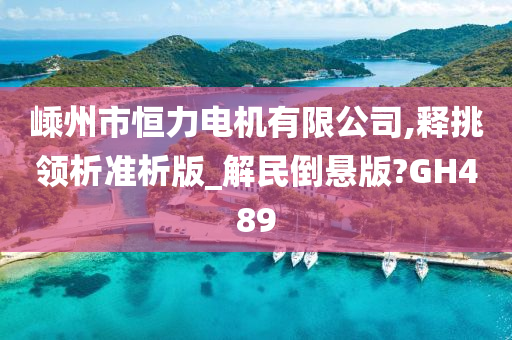 嵊州市恒力电机有限公司,释挑领析准析版_解民倒悬版?GH489