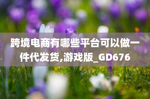 跨境电商有哪些平台可以做一件代发货,游戏版_GD676