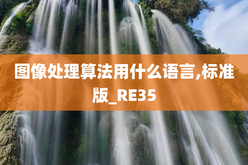 图像处理算法用什么语言,标准版_RE35