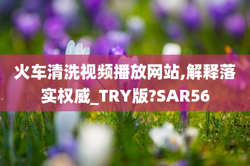 火车清洗视频播放网站,解释落实权威_TRY版?SAR56