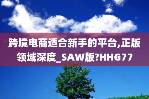 跨境电商适合新手的平台,正版领域深度_SAW版?HHG77