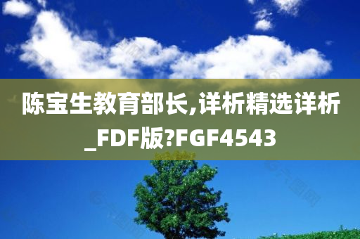 陈宝生教育部长,详析精选详析_FDF版?FGF4543