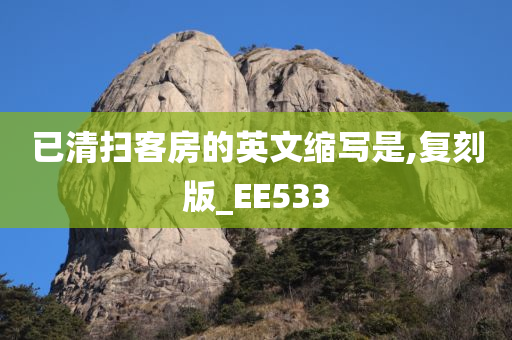 已清扫客房的英文缩写是,复刻版_EE533