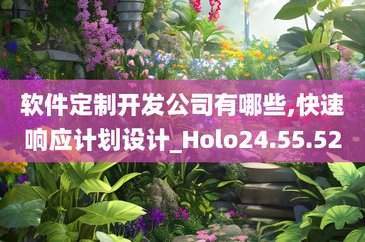 软件定制开发公司有哪些,快速响应计划设计_Holo24.55.52