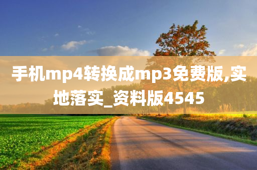 MP4转MP3