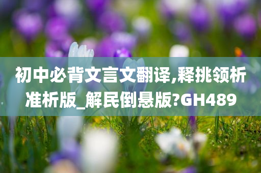 初中必背文言文翻译,释挑领析准析版_解民倒悬版?GH489