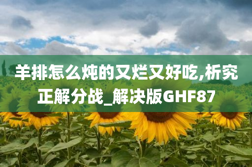 羊排怎么炖的又烂又好吃,析究正解分战_解决版GHF87