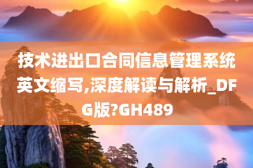 技术进出口合同信息管理系统英文缩写,深度解读与解析_DFG版?GH489