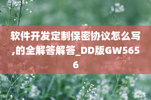 软件开发定制保密协议怎么写,的全解答解答_DD版GW5656