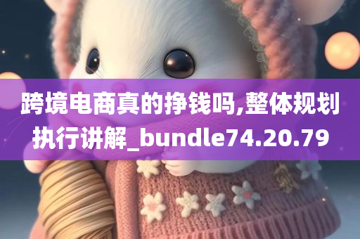 跨境电商真的挣钱吗,整体规划执行讲解_bundle74.20.79