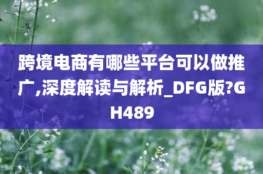 跨境电商有哪些平台可以做推广,深度解读与解析_DFG版?GH489