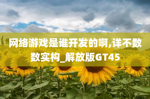 网络游戏是谁开发的啊,详不数数实构_解放版GT45