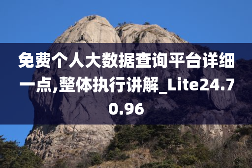 免费个人大数据查询平台详细一点,整体执行讲解_Lite24.70.96