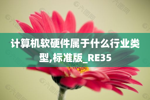 计算机软硬件属于什么行业类型,标准版_RE35