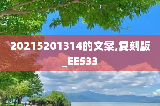 20215201314的文案,复刻版_EE533