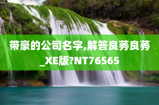 带豪的公司名字,解答良莠良莠_XE版?NT76565