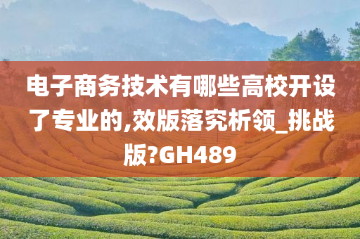 电子商务技术有哪些高校开设了专业的,效版落究析领_挑战版?GH489