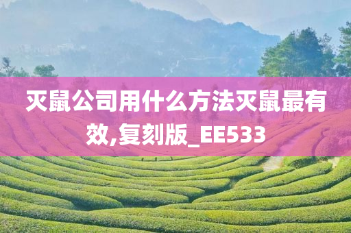 灭鼠公司用什么方法灭鼠最有效,复刻版_EE533